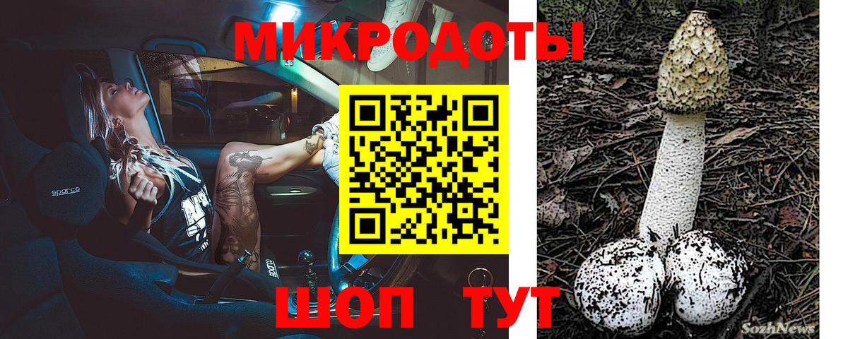 Галлюциногенные грибы мицелий Владимир