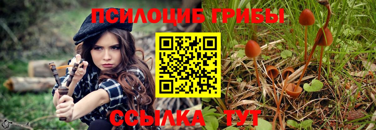 Галлюциногенные грибы мухоморы  Вход с VPN  Владимир 